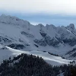 Dans La Panorama *
