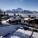Dans La Panorama
