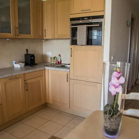 丹斯拉全景公寓 *