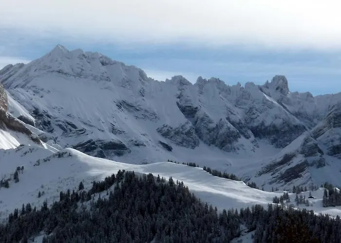 Dans La Résidence Panorama *